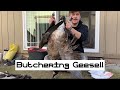 How To Butcher Your Geese