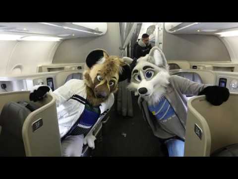 YouTube video