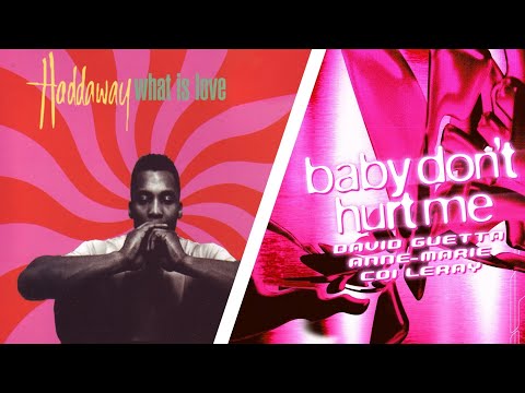 Haddaway - What is Love x David Guetta - Baby dont hurt me [Official FS Remix]