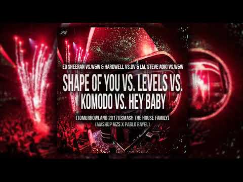 Shape of You Vs. Levels Vs. Komodo Vs. Hey Baby (DV & LM / TML '17)[Smash The House Family]