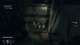 #2 Dying Light THE BEAST ストーリー進めつ参加型配信(眠くなるまで)