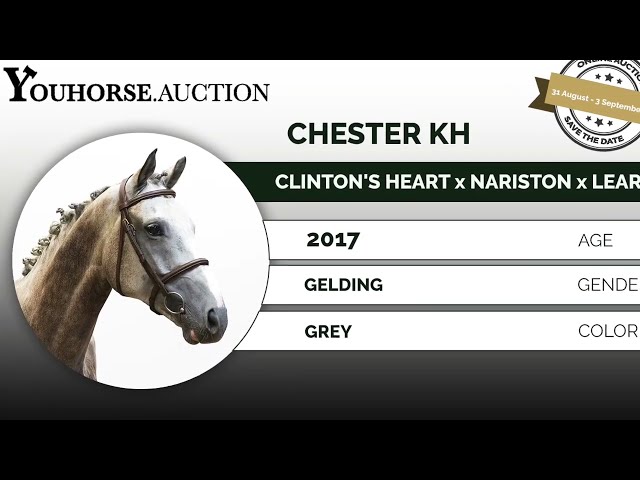 Chester showvideo
