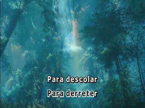 09851 - Nando Reis e Negra Li - NEGRA LIVRE -==Karaoke–Videoke – Playback - Raf electronics