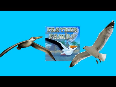 Wing remodels! Pelagornis , seagull and albatross -Feather Family #road1500subs