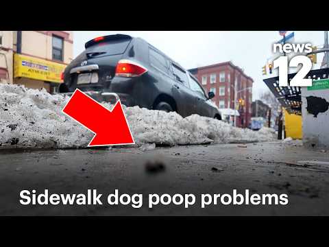 Residents say they are fed up with dog owners refusing to scoop up poop on sidewalks | News 12