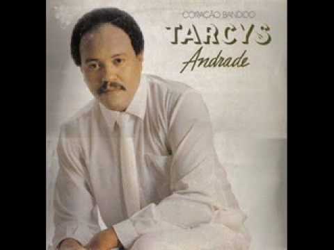 Gato e cachorro - Tarcys Andrade