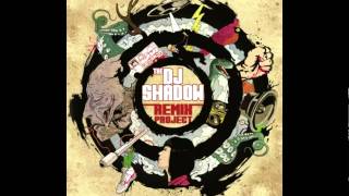 DJ Shadow - Building Steam With A Grain of Salt (Ruby My Dear Mix)