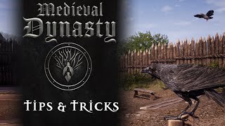 Medieval Dynasty Tips & Tricks ep. 6 Birds