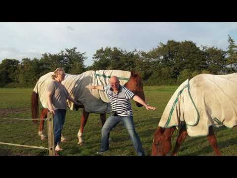 @ionbogdanstefanescu  Astor Piazzolla - Libertango