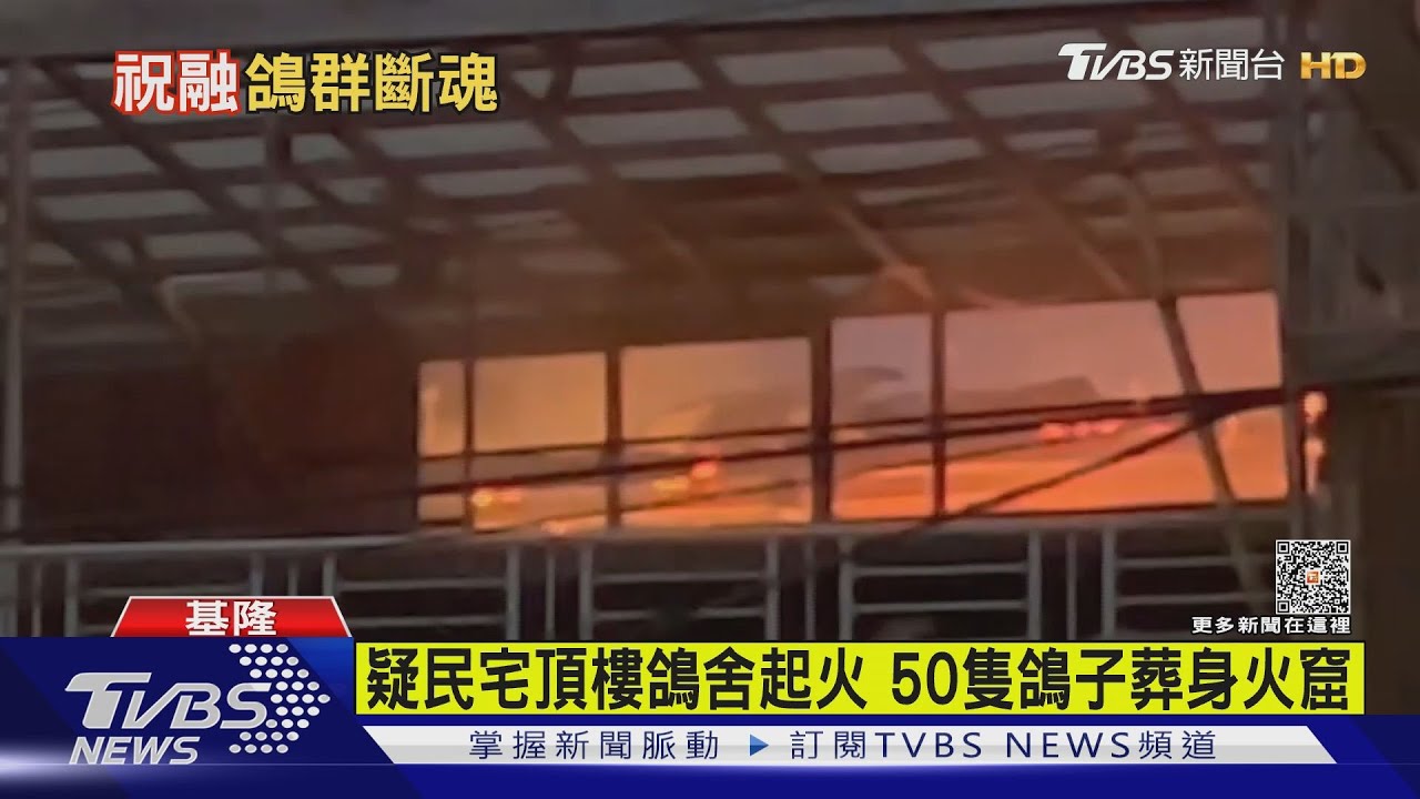 疑民宅頂樓鴿舍起火　50隻鴿子葬身火窟