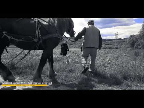 TIHAU -Sunetul satului nostru