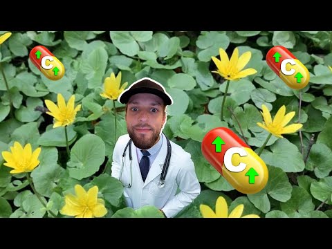 VITAMIN C-BOOSTER SCHARBOCKSKRAUT