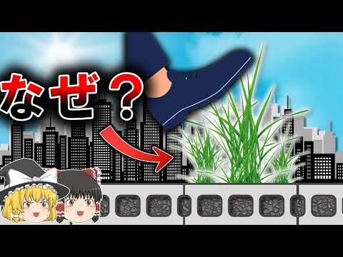 アスファルトエマルジョンについて詳しく解説