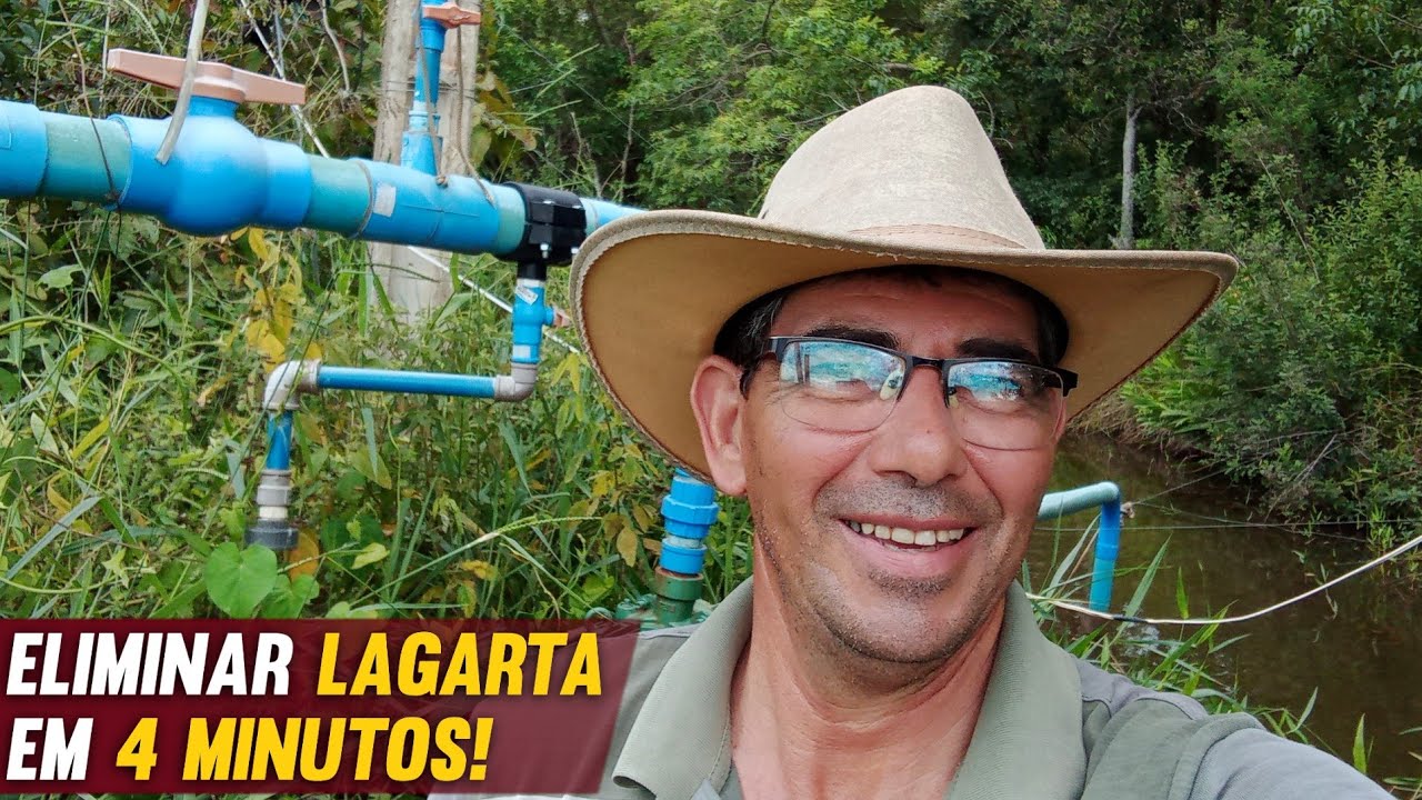 Como ELIMINAR a LAGARTA em 4 minutos na PASTAGEM.