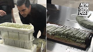 Joint-Rolling Machine Rolls 100 Joints in 5 Minutes | New York Post