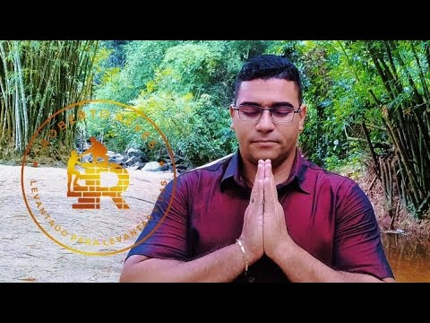 Vídeo: Formiga dentro de casa: o que significa