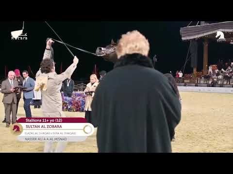 Today world campinas winner sultan Al zobara at Qatar