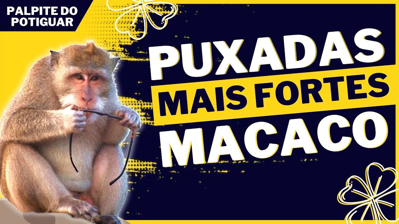 Puxada do Macaco - Jogo do Bicho