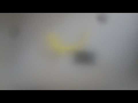 La Posta di yoyo 9 dicembre