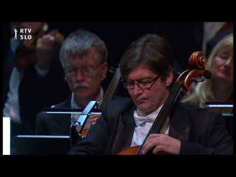 Silence | Concert for Guillotine and Tired History