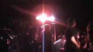 Belvedere - Cellophane Coffin Live In Burlington