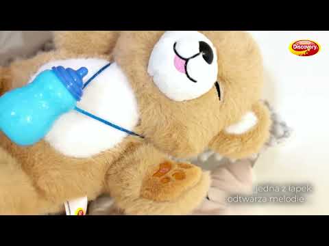 Niedźwiadek brunatny Dumel Discovery