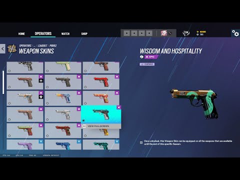 Pistol "PRB92" skin glitch