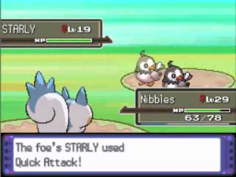 Pachirisu Only Run - Route 206