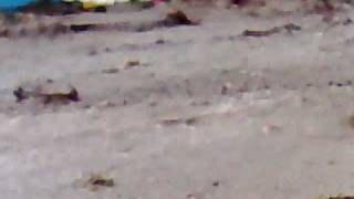 preview picture of video 'desborde quebrada en ejido'