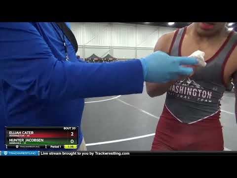 126 Lbs Semis & 3rd Wb (16 Team) - Elijah Cater, Washington Vs Hunter Jacobsen, Nebraska 564d