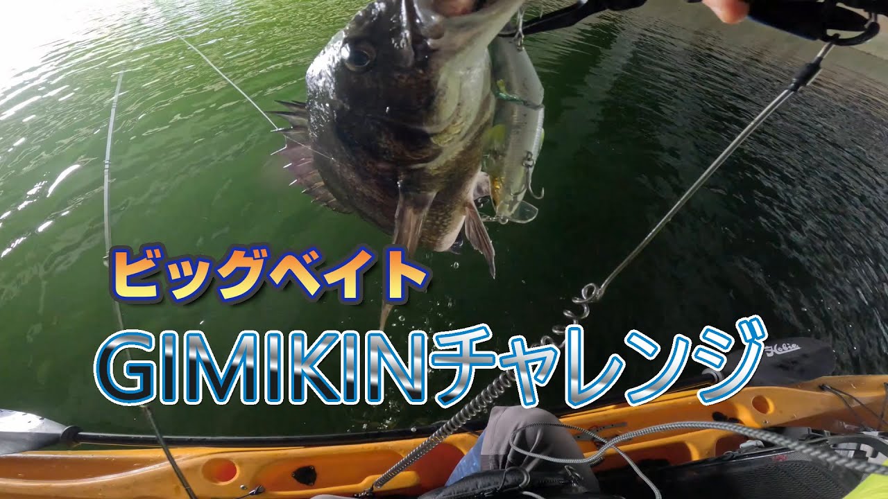真夏のビックベイト『GIMIKINチャレンジ』