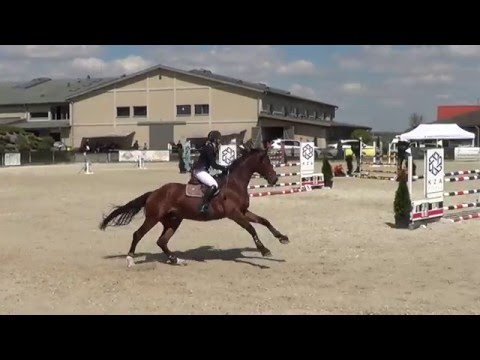 Ilona Turowska & LORDANZ - 1.10m @ KJK Szary