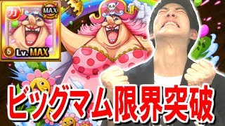 【トレクル】トレジャーマップビッグマムを限界突破！さっそく使ってみた！