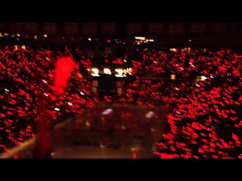 Detroit Red Wings Playoff Crowd Glowsticks