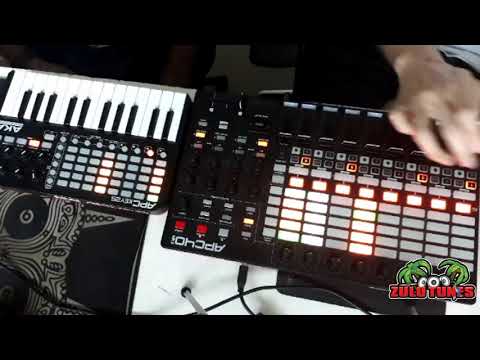 Organoise LIVE _ India Prep _ The Zulu Anthology 2019