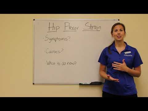 What is a Hip Flexor?