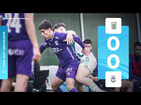 bg-highlight