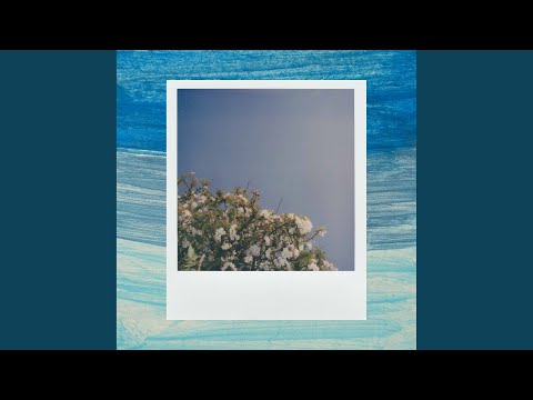 Remarkable Forgettable Days