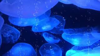 Tightrope - Above and Beyond 432hz