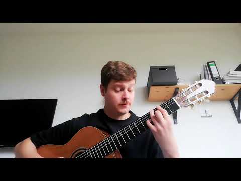 [ZU VERKAUFEN] Konzertgitarre Björn Welsch Zeder 1997