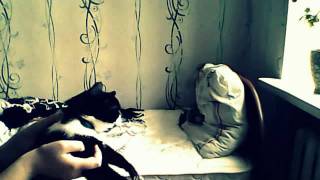 adam lambert beg for mercy