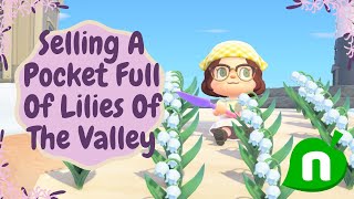 Selling A Pocket Full Of Lilies Of The Valley On Nookazon | Animal Crossing New Horizons