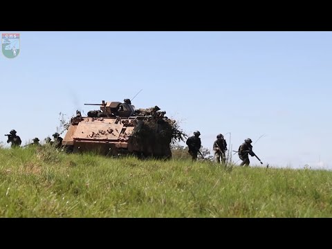 Força de Prontidão da 5ª Brigada de Cavalaria Blindada