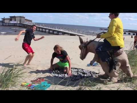 Prank Dino 1, Stefan Odelberg