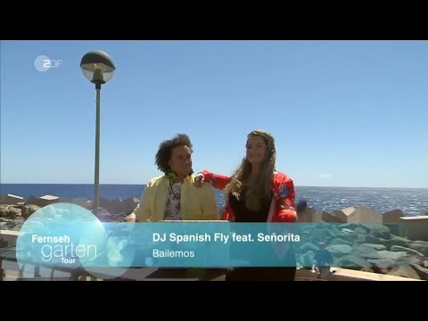 DJ Spanish Fly feat. Señorita - Bailemos - ZDF Fernsehgarten Gran Canaria 21 04 2019