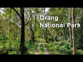 Rajiv Gandhi Orang National Park