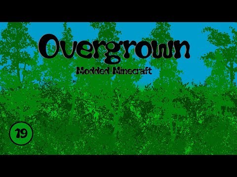 Overgrown Ep. 19: Rockhounding Setup