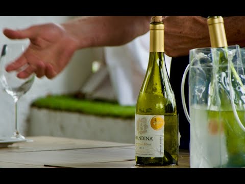 Visita e Degustação na Villa Santa Maria: os Vinhos Brandina