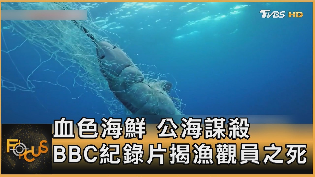 血色海鮮 公海謀殺 BBC紀錄片揭觀察員之死