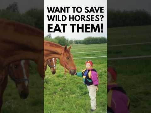 Eat Horse reel preview